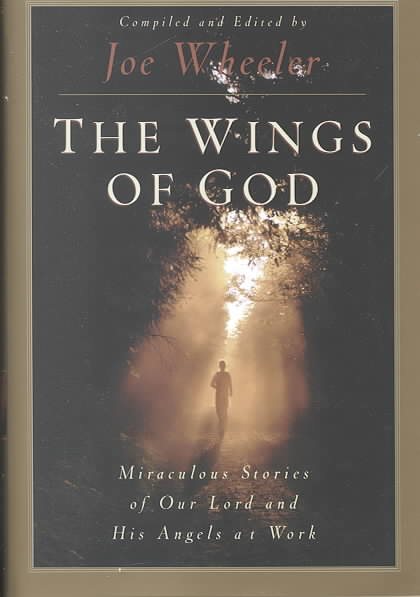 The Wings of God: Miraculous Stories of Our Lord and His Angels at Work cover