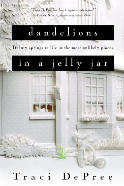 Dandelions in a Jelly Jar (The Lake Emily Series #2)
