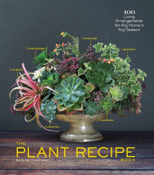 The Plant Recipe Book: 100 Living Arrangements for Any Home in Any Season cover