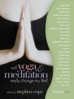 Will Yoga & Meditation Really Change My Life: Personal Stories from 25 of North America's Leading Teachers cover