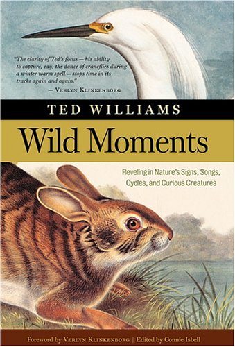 Wild Moments cover