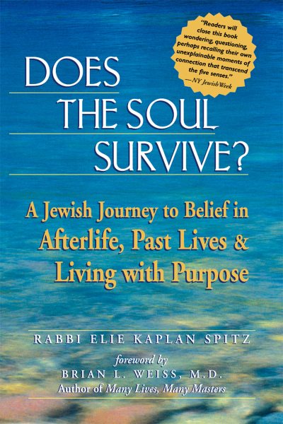 Does the Soul Survive?: A Jewish Journey to Belief in Afterlife, Past Lives & Living with Purpose cover