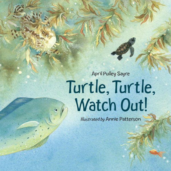 Turtle, Turtle, Watch Out! cover