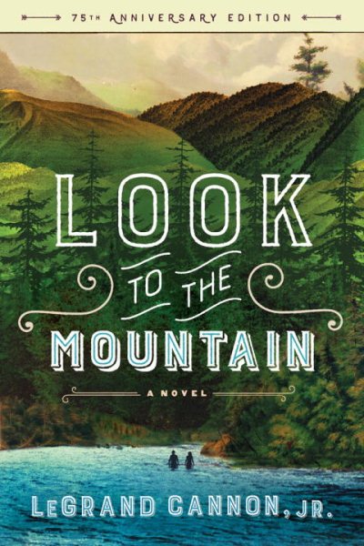 Look to the Mountain: A Novel cover