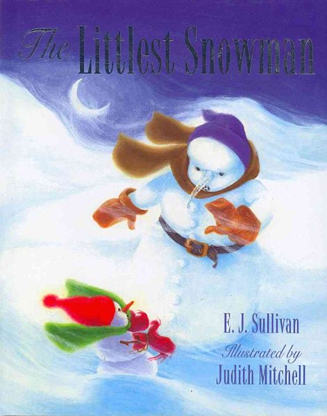 The Littlest Snowman cover