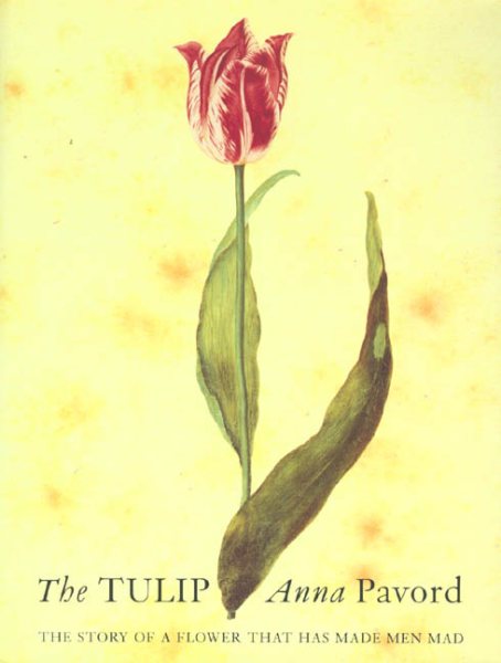 The Tulip: The Story of the Flower That Has Made Men Mad cover