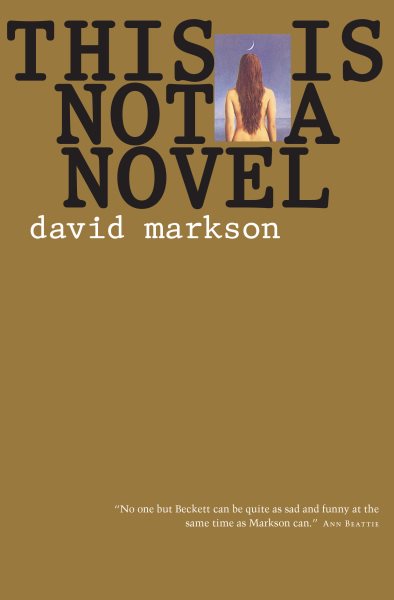 This Is Not a Novel cover