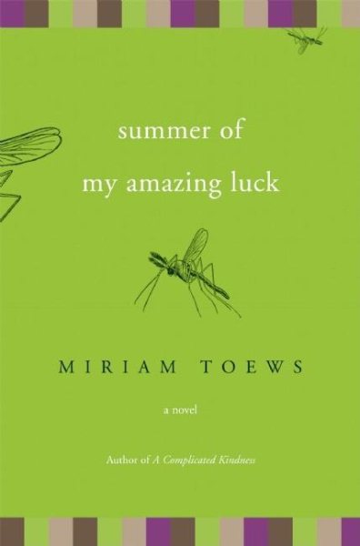 Summer of My Amazing Luck: A Novel cover