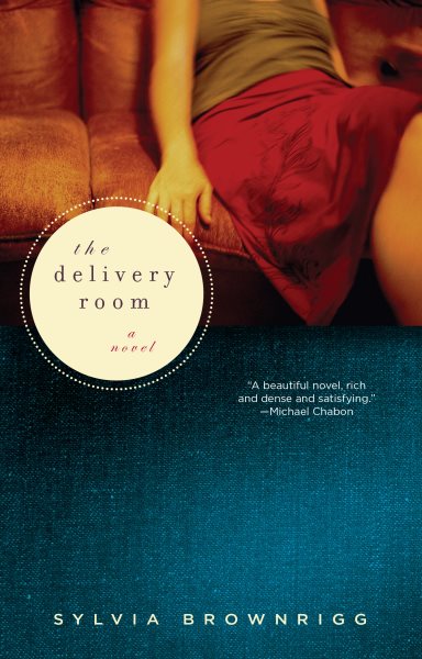 The Delivery Room: A Novel cover