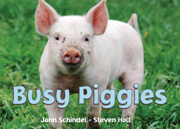 Busy Piggies (A Busy Book) cover