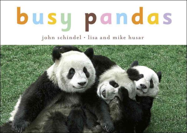 Busy Pandas (A Busy Book) cover