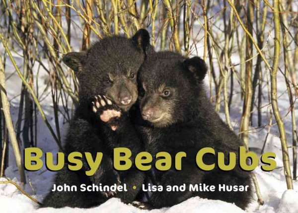 Busy Bear Cubs (A Busy Book) cover