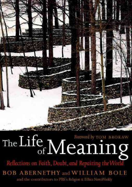 The Life of Meaning: Reflections on Faith, Doubt, and Repairing the World cover