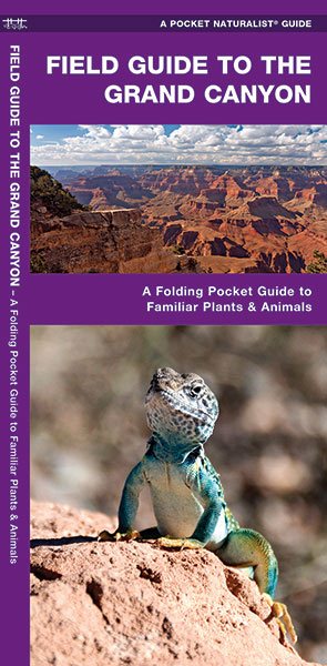 Field Guide to the Grand Canyon: An Introduction to Familiar Plants and Animals (A Pocket Naturalist Guide) cover