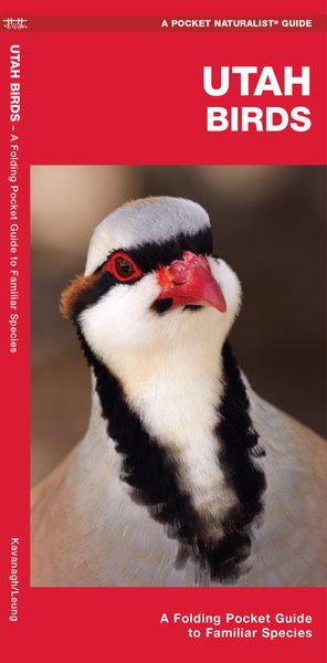 Utah Birds: A Folding Pocket Guide to Familiar Species (Wildlife and Nature Identification) cover