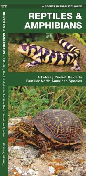 Reptiles & Amphibians: A Folding Pocket Guide to Familiar North American Species (Pocket Naturalist Guide Series) cover