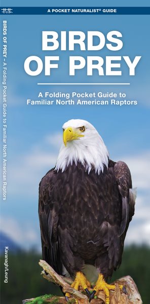 Birds of Prey: A Folding Pocket Guide to Familiar North American Species (Wildlife and Nature Identification) cover