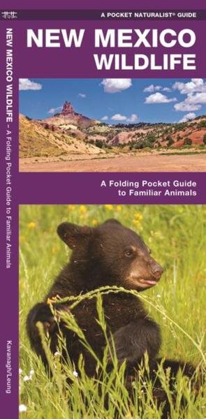 New Mexico Wildlife: A Folding Pocket Guide to Familiar Animals (Wildlife and Nature Identification) cover