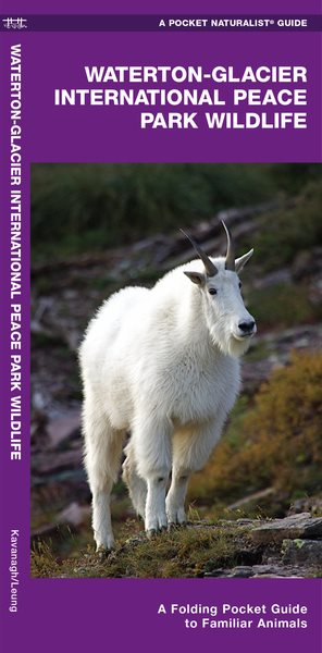 Waterton-Glacier International Peace Park Wildlife: A Folding Pocket Guide to Familiar Animals (Wildlife and Nature Identification) cover