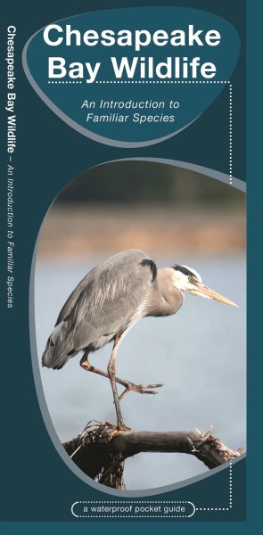 Chesapeake Bay Wildlife: An Introduction to Familiar Species (Wildlife and Nature Identification) cover