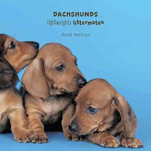 Dachshunds: Lightweights Littermates cover