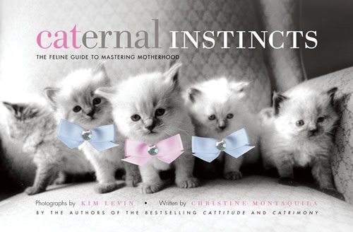 Caternal Instincts: The Feline Guide to Mastering Motherhood cover