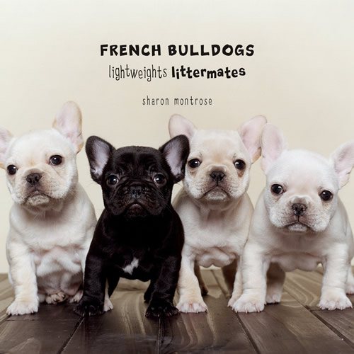 French Bulldogs: Lightweights Littermates cover