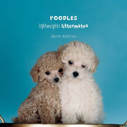 Poodles: Lightweights Littermates cover