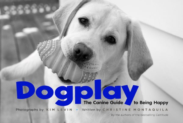 Dogplay: The Canine Guide to Being Happy cover