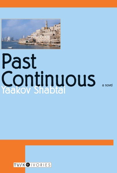 Past Continuous cover