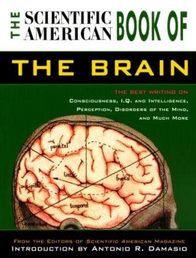The Scientific American Book of the Brain cover