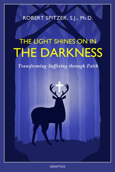The Light Shines on in the Darkness: Transforming Suffering through Faith (Happiness, Suffering, and Transcendence) cover