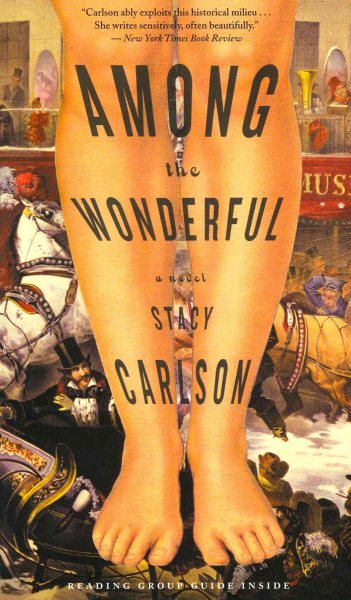 Among the Wonderful: A Novel cover