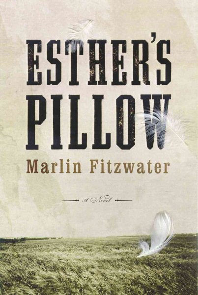 Esther's Pillow: A Novel cover