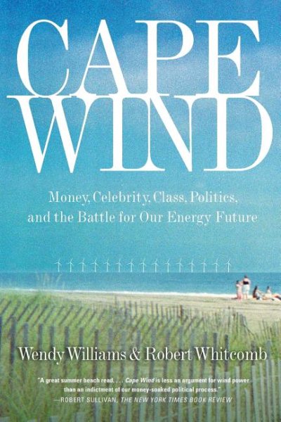 Cape Wind: Money, Celebrity, Energy, Class, Politics, and the Battle for Our Energy Future cover