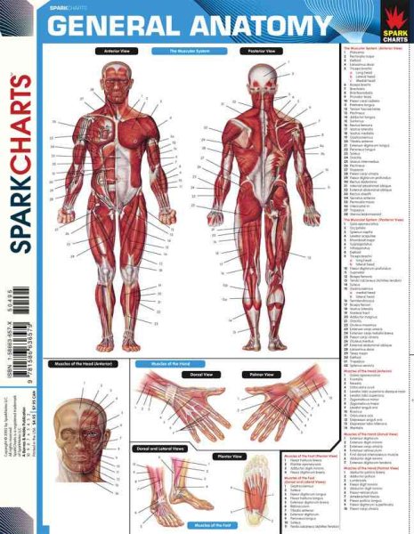 General Anatomy (SparkCharts) cover