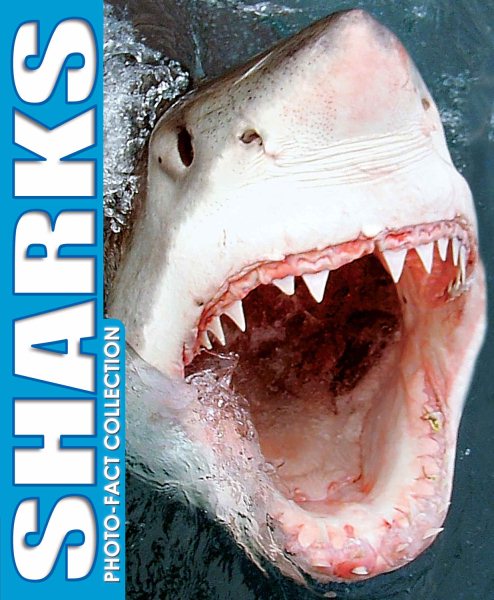 Sharks Photo Fact Collection cover