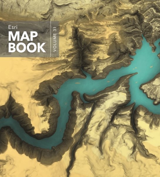 Esri Map Book, Volume 31 cover