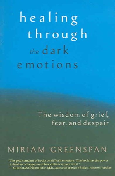 Healing Through the Dark Emotions: The Wisdom of Grief, Fear, and Despair cover