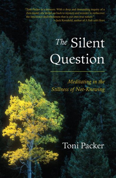 The Silent Question: Meditating in the Stillness of Not-Knowing cover