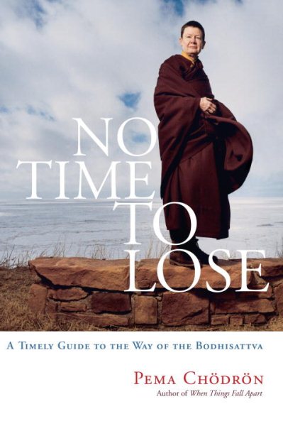 No Time to Lose: A Timely Guide to the Way of the Bodhisattva cover