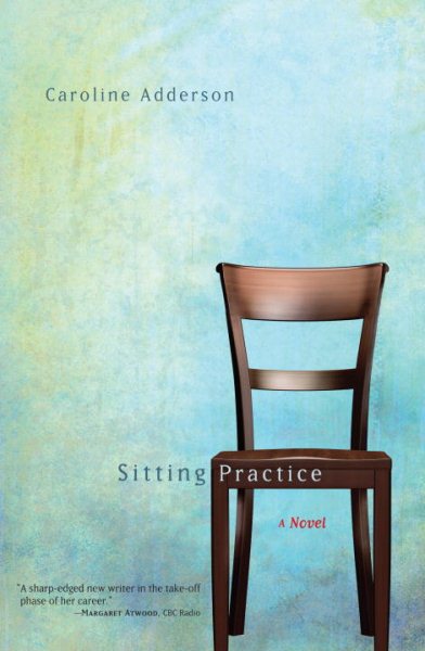 Sitting Practice: A Novel cover