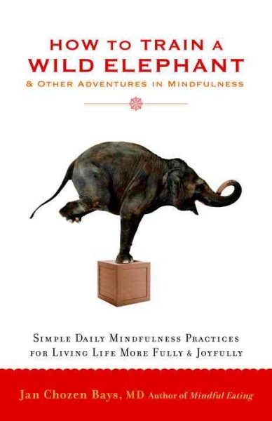 How to Train a Wild Elephant: And Other Adventures in Mindfulness cover