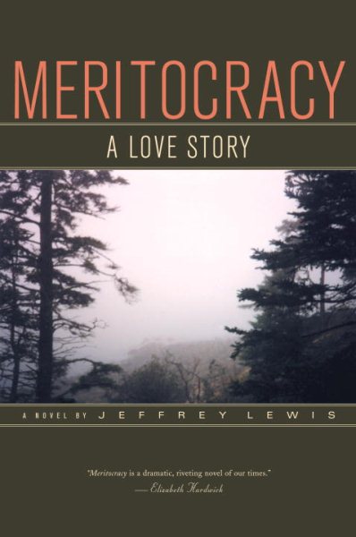 Meritocracy cover