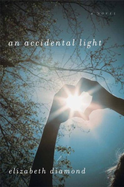 An Accidental Light: A Novel cover