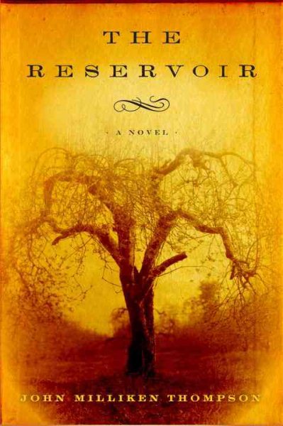 The Reservoir: A Novel cover