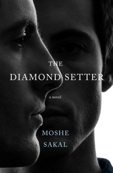 The Diamond Setter: A Novel cover