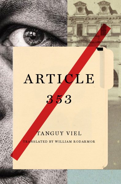 Article 353: A Novel cover