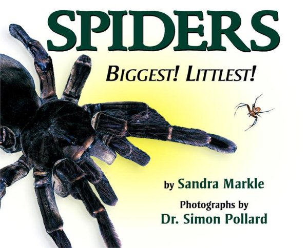 Spiders: Biggest! Littlest! cover