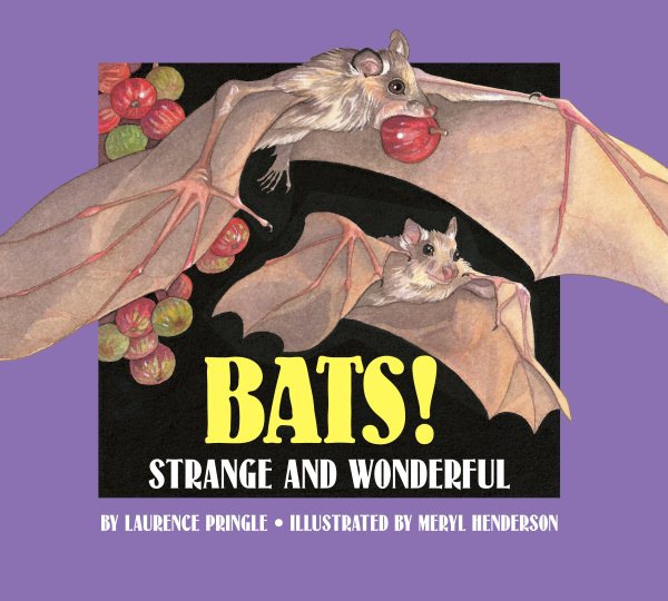 Bats!: Strange and Wonderful cover